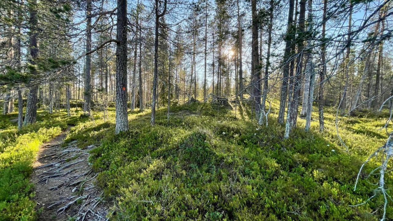 Отель Lapiosalmi Wilderness Center Посио Экстерьер фото
